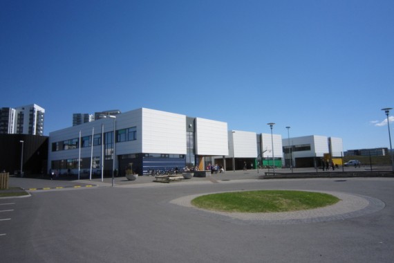 Endurskoðun á aðalnámskrá grunnskóla, greinanámskrám (UT)